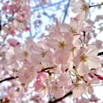 【春の訪れ】変化の季節