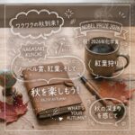 秋の訪れとワクワクの季節！おくんちにノーベル賞、そして紅葉へ